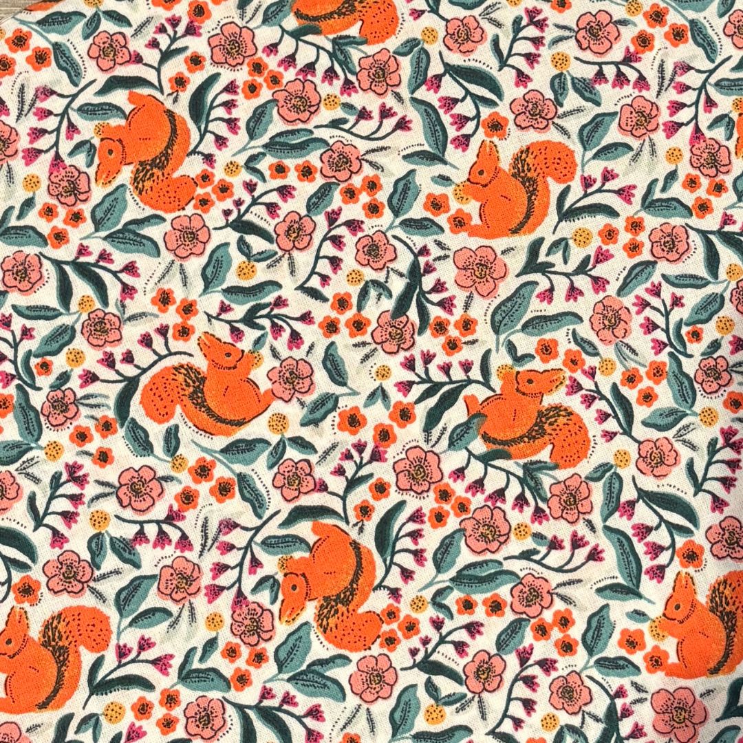 coton écureuil orange